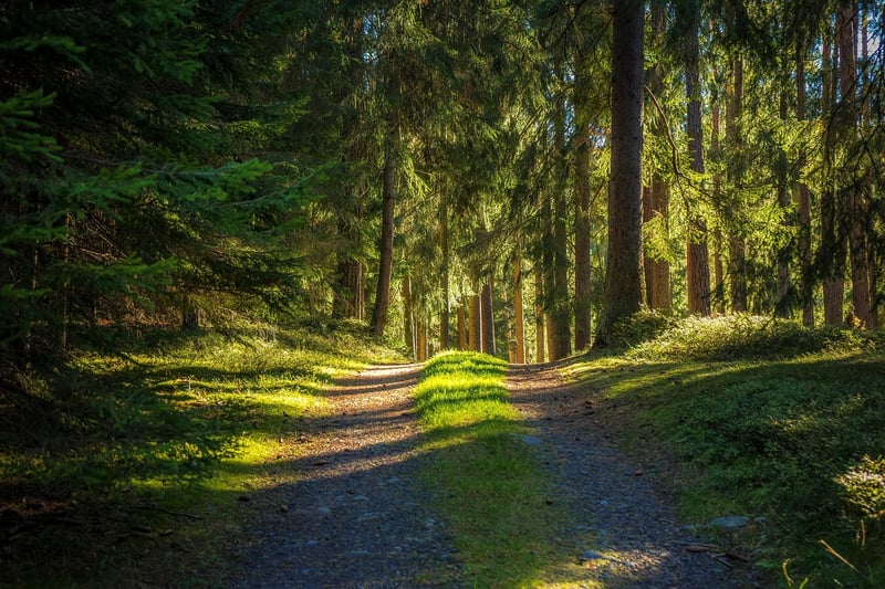 Long-Distance Runs