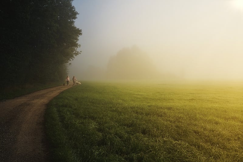Meditative Walking